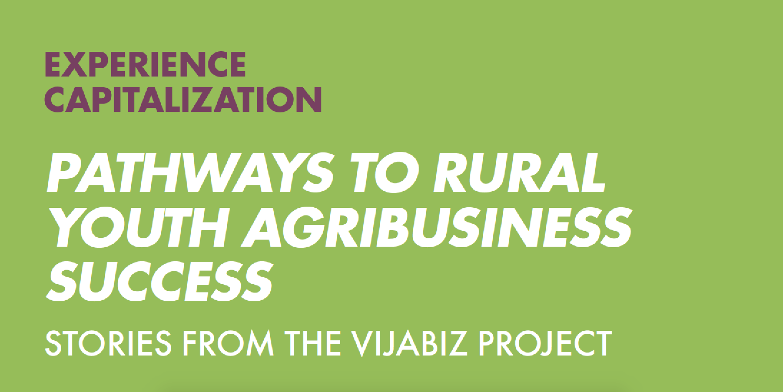 Rural Youth Agribusiness Development Through Business Mentorship