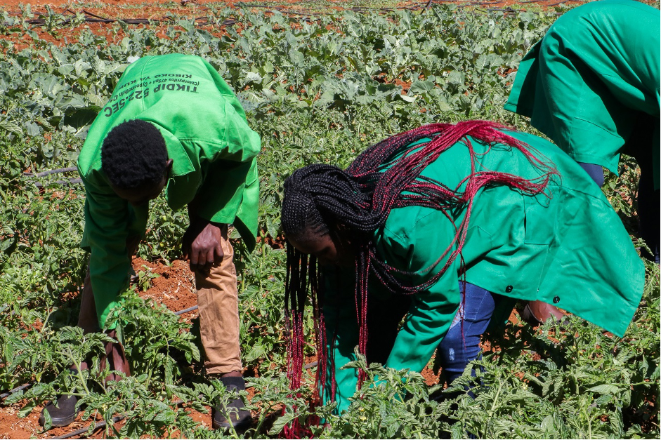 Egerton University’s CoELIB to Work with SNV Kenya to Scale Research, Knowledge Exchange and Innovation in the Agri-energy Nexus