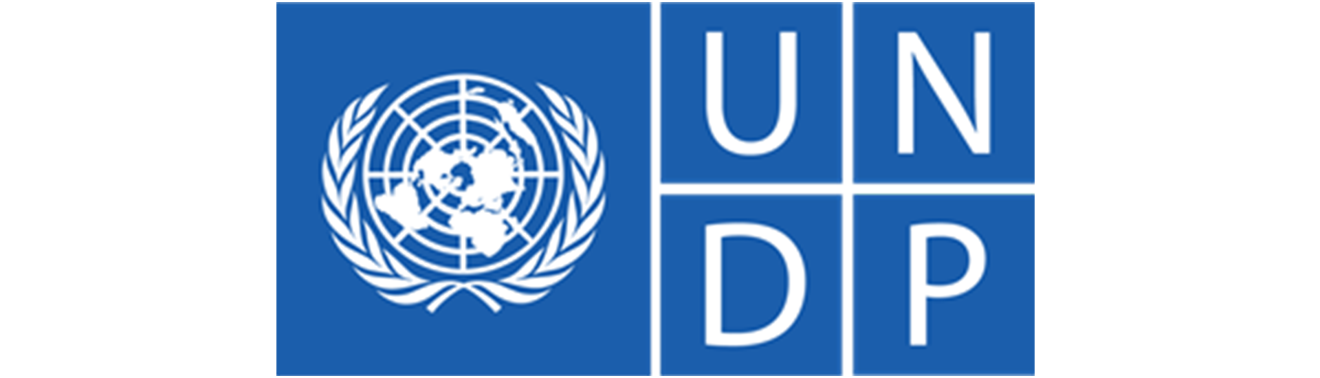 UNDP